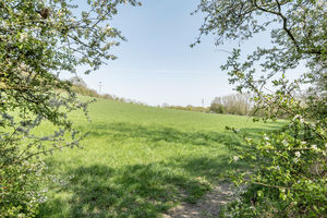 Betts Close